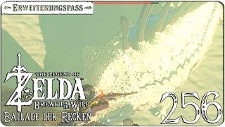 Der gefährliche Königsmoldora 256 ► THE LEGEND OF ZELDA BREATH OF THE WILD EX [upl. by Ahtiekahs392]