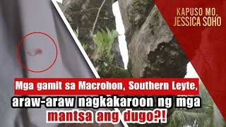 Mga gamit sa Southern Leyte arawaraw nagkakaroon ng mga mantsa ng dugo  Kapuso Mo Jessica Soho [upl. by Kreis]