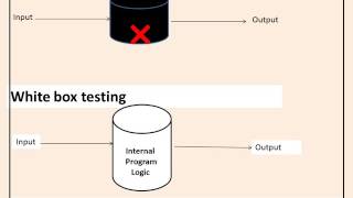 CISA ExamLast Minute Revision Testing in SDLC Domain 3 [upl. by Eelirol210]