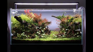 Aquascape Tutorial Step by Step 90cm Planted Aquarium [upl. by Coulombe]