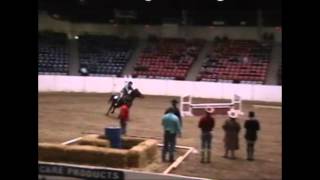 Equine Affaire Competition Video  Trudy Stuchlik [upl. by Hanafee]