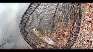 Winter Fishing  Lake hopping Nassau county  Brown Trout  Long Island NY [upl. by Fried]