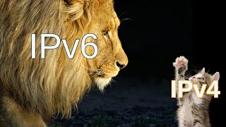 IPv6 Addresses Explained [upl. by Feodore]