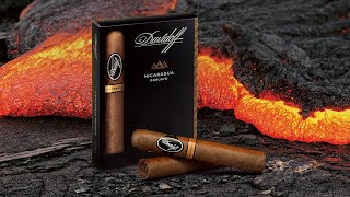 CIGAR TASTING I The Davidoff Nicaragua [upl. by Valerye]