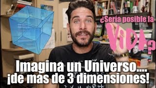 ¿Por qué vivimos en un universo de 3 DIMENSIONES [upl. by Chao]