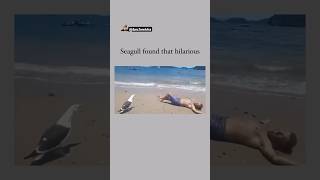 Oh My God😰Wait For End😳He made that Bird Laugh😳😂 viralcontent reels tiktok animals funny [upl. by Omar]