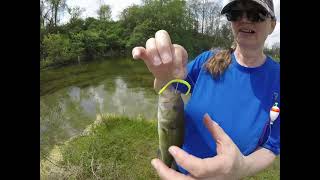 BASS n GILLS AT TJ EVANS PARK ep265 [upl. by Algy]