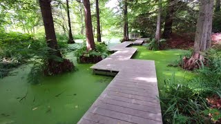 حديقة نباتات في المانيا 2022Botanischer Garten in Universität Bochum 2022 [upl. by Udall28]