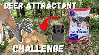 Will Deer Eat Cattle Feed CHALLENGETrail Camera Evidence [upl. by Otrebcire477]