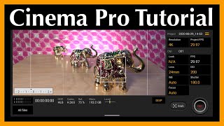 How to use Cinema Pro app with Sony Xperia 1 II [upl. by Tnert]