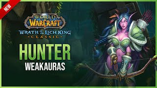 Hunter WeakAuras  Wrath of the Lich King Classic  Fully Customizable Design [upl. by Inasah]