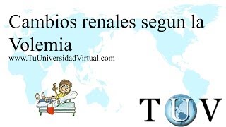 Proteinuria y Cambios de presion y su efecto sobre las funciones del riñón [upl. by Esertal]