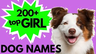 Top 200 Unique FEMALE Dog Names – Girl Dog Names [upl. by Valiant335]