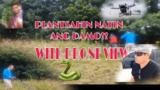 PLANTSAHIN NATIN ANG MAKAPAL NA DAMO WITH DRONE VIEW [upl. by Yhtur]