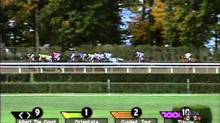 2001 Breeders Cup Classic [upl. by Rexer]