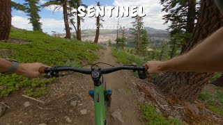 Sentinel  Forbidden Forest  Kirkwood CA  MTB [upl. by Raseac]