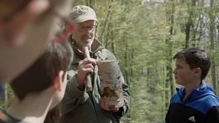 Peter Wohlleben  Hörst du wie die Bäume sprechen Eine kleine Entdeckungsreise durch den Wald [upl. by Verada]