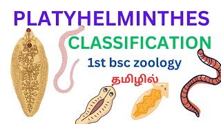 Platyhelminthes flatworms classification in tamil class trematodacestoda and turbellaria in tamil [upl. by Ardek]