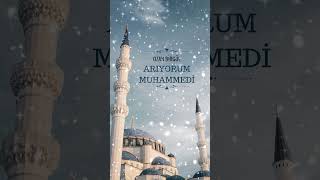 ARIYORUM MUHAMMEDİ SAV ilahiler [upl. by Lateh]