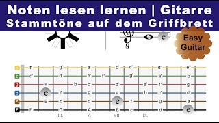 Noten lesen lernen  Gitarre  Stammtöne auf dem Griffbrett [upl. by Camfort]