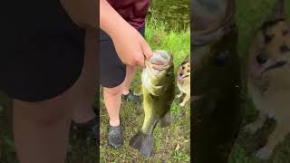 Pond hopping wit Theryn fishing shortsfeed fishinglife shorts fishingvideo [upl. by Ofloda687]