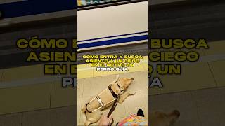 Cómo entra y busca asiento a un Ciego en el metro un Perro Guía 🚇 🦮 [upl. by Stronski96]