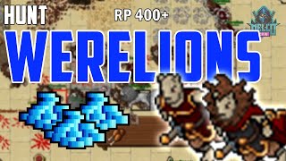 Hunt RP 400 Werelion  Tibia  Full Profit [upl. by Ainoyek]