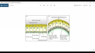 Complete Gastrulation in sea urchin [upl. by Neelyad]