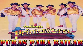 Conjunto Primavera Mix 2021  Puras Para Bailar [upl. by Einahpehs701]