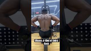 King of Back Ulisses Jr Cobra Back cobraback backworkout thickness ulisses [upl. by Alithia166]