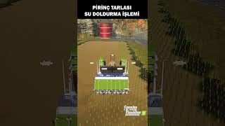 Farming Simulator 25 PİRİNÇ NASIL EKİLİR shortvideo shorts shorts farmingsimulator25 fs25 [upl. by Jillene]