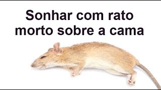 SONHAR COM RATO MORTO EM CIMA DA CAMA significado [upl. by Nidnarb350]