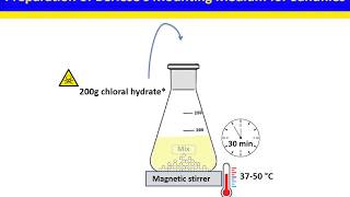 Berleses mounting medium for sandflies [upl. by Anovahs]