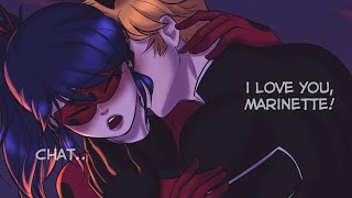 I love you Marinette  Miraculous Ladybug and Cat Noir Comic Dub [upl. by Varick]