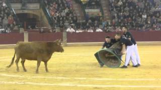 Concurso de roscaderos Zaragoza 16102015  TAUSTE [upl. by Annol]