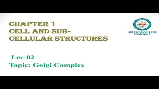 Golgi Complex  Golgi Apparatus  Golgi Bodies  Federal Board Biology Part1  FBISE Biology1 [upl. by Gnud]