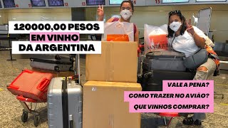 COMO TRAZER VINHOS DA ARGENTINA NO AVIÃO  2022 [upl. by Jorie]