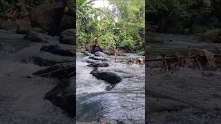 The beautiful nature of Ayaas River Tayabas Quezon Philippines [upl. by Rust]