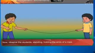 Endogenetic Movements  Geography  Class 9  English Medium  MSBSHSE [upl. by Dutch]