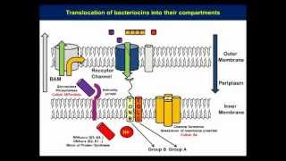 Structure and mechanistic studies of pesticin by Kornelius Zeth [upl. by Enerahs231]