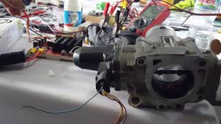 DIY Throttle Body Controller [upl. by Mateo217]