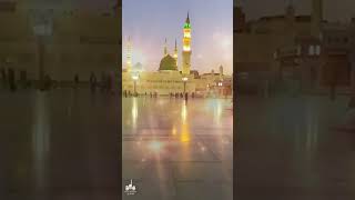 Bhar Do Jholi Meri Ya Muhammad ibadatislamic madinasharif shortvideo [upl. by Leicam252]