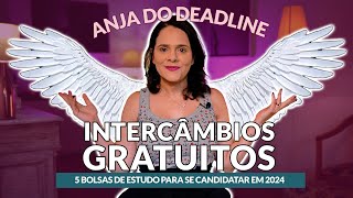 Como fazer intercâmbio gratuito em 2024 curso de inglês nos EUA phd e mais  Partiu Intercâmbio [upl. by Ateloiv173]