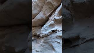 Slot canyon  AnzaBorrego Desert State Park [upl. by Jilleen]