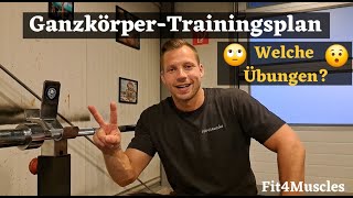 Ganzkörper Trainingsplan︱Welche Übungen [upl. by Arednaxela]