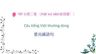 （一起学习越语 cùng học tiếng Việt）第二集：常用越语句 [upl. by Nortyad126]