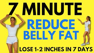 7 Minute Belly Fat Workout  7 Day Challenge  Start Today [upl. by Ahsiekrats379]