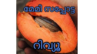 മേമി സപ്പോട്ട ടെസ്റ്റ്‌ റിവ്യൂ  Mamey Sapote taste review [upl. by Kcirderf]