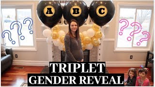 EPIC TRIPLET Gender Reveal  1 IN 30000 CHANCE [upl. by Saul]