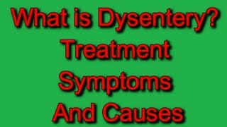 What is Dysentery Treatment Symptoms And Causes [upl. by Aldredge173]